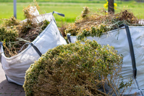 Best Mattress Removal Service  in Red Springs, NC